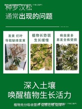 �ɘ��辰�_�h�����ͷ��w�����ͺϷ����ЙC�ʾ�ጷʰ��]