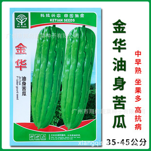 ���A��ϷN���ش��ϷN�Ӹ߮a�͹�����Ƥ�ϷN�ݿ�צ�������߲˷N