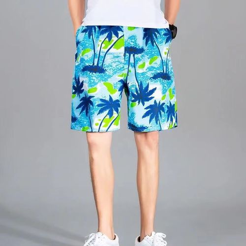 Men's 2024 Short Shorts Beach Pants Athletic Loose Thin Five-Pocket Summer Middle Pants Casual Large Briefs