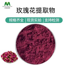 玫瑰花提取物10:1水溶性玫瑰花粉 喷雾干燥 源头工厂支持打样