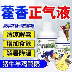 Huo Xiang Zheng Qi 液体は、鶏、アヒル、ガチョウ、熱中症予防、動物、家畜、豚、牛、羊の熱中症予防および熱ストレス予防用に使用されます。