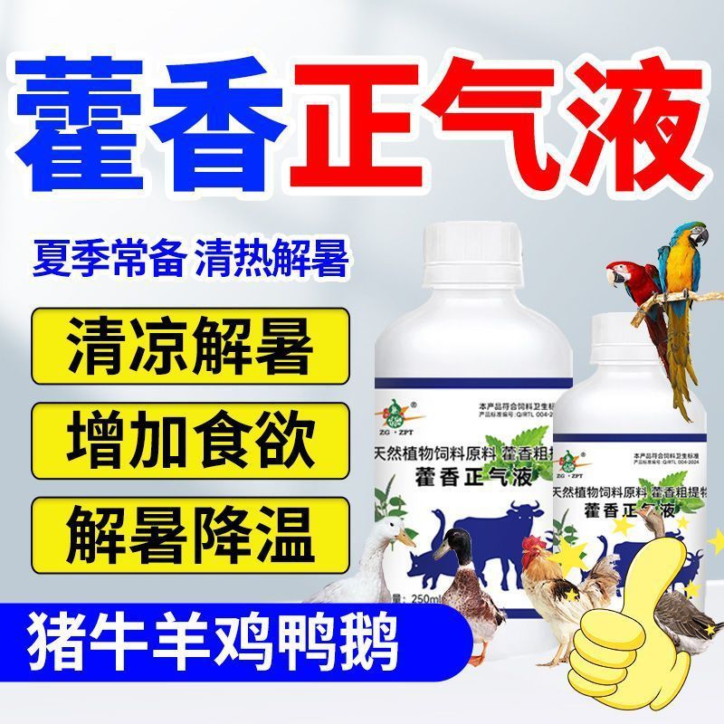 Huo Xiang Zheng Qi 液体は、鶏、アヒル、ガチョウ、熱中症予防、動物、家畜、豚、牛、羊の熱中症予防および熱ストレス予防用に使用されます。|undefined