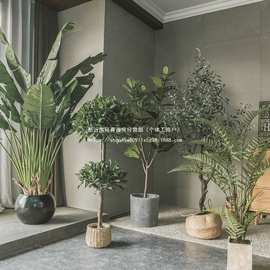 绿植轻奢室内氛围装饰假树落地盆栽摆件仿生假植物买家秀征集有礼