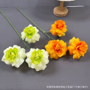 ��c����ɯ����õ����Ź��T�����b��ķ��滨�ٻ����컨���l