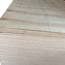 ��ľ�z�ϰ�ɭ�����b���z�ϰ���Ӱ����ϰ�A��ľ�бP���