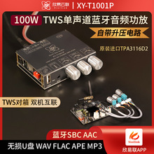 T1001P����100W�{�����l���Ÿߵ����{��TWS������o��TPA3116