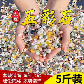 天然五彩石雨花石鱼缸底砂火山石造景多肉铺面五花石彩色小石头子