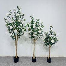 �����ɫ��õ�������Ի��͏d�����[���軨����Gֲ���Ի������l