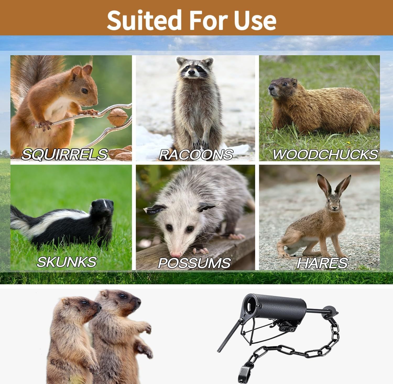 815nCMv+lNL._AC_SL1500_