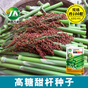 �S�Ҵ������l������U������N�Ӵ���ʳ���o����������s100����