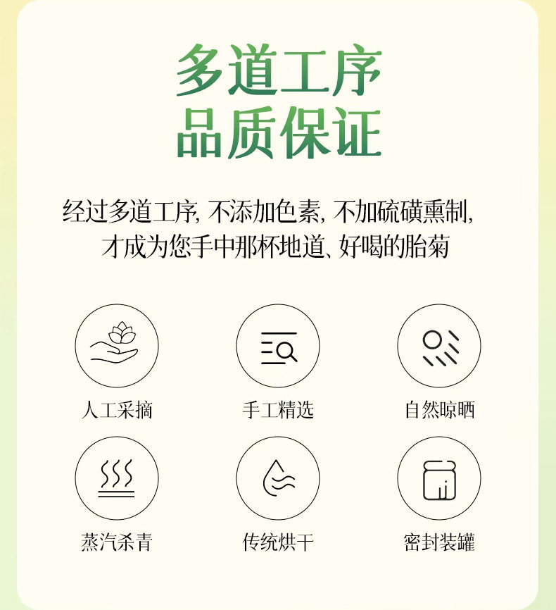 Premium Fetal Chrysanthemum Buds Tongxiang Hangzhou White Chrysanthemum Tea Canned 65g quality and texture