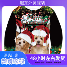 Christmas Dog Snowflake Pattern Sweatshirts For Men Reindeer