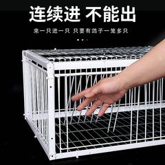 新型の天落籠ハト籠は暗号化を厚くして自動的にハトの神器を収めます。