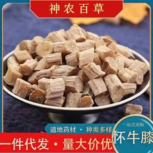 怀牛膝批发河南淮牛膝川牛膝各种规格中药材牛膝一件代发产地直供