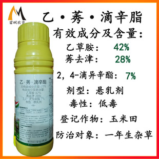 ��ݬ�������Ҳݰ�ݬȥ��24�ή��������׳��݄�