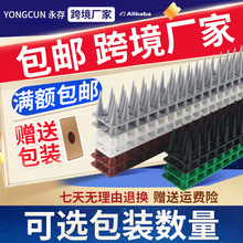 �@����B�̿羳��������44.5CM�̨�����z��؈�B�������ɷ��д��