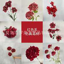 �tɫϵ��Y���滨��c�û�õ�彑���ʯõ��ٻ��Ƶ��Y���b�