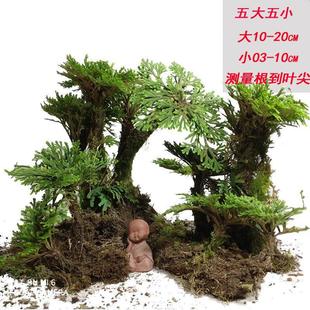 �����Ծ���߀����Ϙ���ɽ��ˮʯާ�ֲ��Ҋˮ߀��ļ������辰