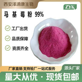 马基莓粉99%可分装食品级厂家马奇果浆果萃取散装现货批发包邮