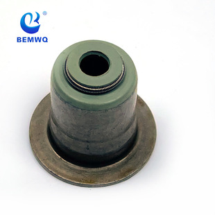 1134 0038 720/1134 0035 853/11340034069 valve oil seal-exhaust N20B38B48