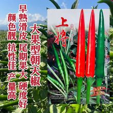 2024ƷNό콷N컬Ƥtó콷NѴ̖