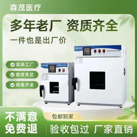 高温加热电热鼓风干燥箱实验室药材烘干恒温烘箱厂家现货