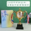 014 Trophy - Gold (+ Packaging)
