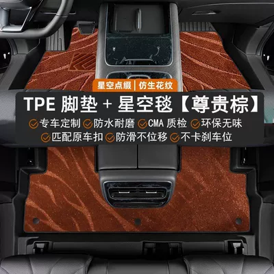 Modelə uyğun ayaqaltı – Mats - qiyuan-q05-23-25-models-double-layered-hot-selling-model-tpe-floor-mats-brown-starry-sky-blanket