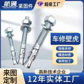 车修壁虎 不锈钢热镀锌蓝白锌车修壁虎膨胀丝 车修壁虎夹片胀栓