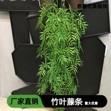 ����ܛ�z���~�ٗl�G�~��Y�b��ȼ����ٱڒ�Gɫ�ָ����~ֲ��羳