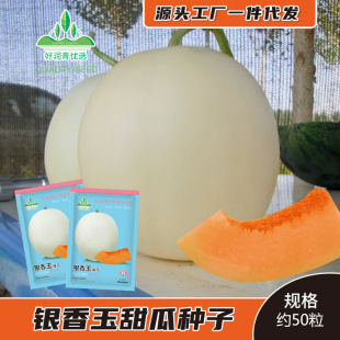 �y�����۹Ϻ�Ƥ��ϷN�Ӱ�Ƥ�t������Ϲ��ܹϷN�ѳ���ˮ���N��
