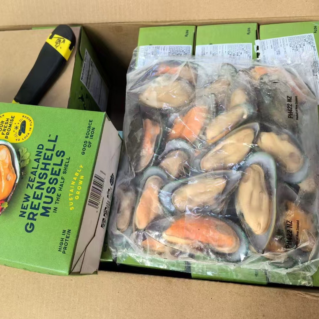 新西兰青口冷冻半壳青口贝海鲜贝类牡蛎胎贝餐饮自助餐烧烤商用