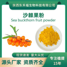 沙棘果粉 沙棘提取物水溶沙棘粉固体饮料原料沙棘黄酮1kg/袋