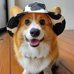 Dog Hat with Exposed Ears, Sun Hat, Corgi Puppy Sun Hat, Cute Photo Pet Cat Sun Protection Dog Hood