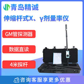 伸缩杆式X、γ剂量率仪 高剂量场所脉冲X、γ射线环境剂量监测仪