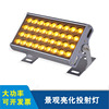LED Ground insertion outdoors waterproof Scenery gardens Lawn Local Cast light