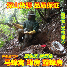 ��ƷҰ���R��CҰ��C¶�䷿100g���S�����ķ䷿�۲ĸ�Λ��l