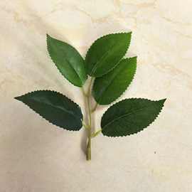 五片过胶布叶子 仿真植物仿真茶树叶diy森系造型手感叶片配件批发