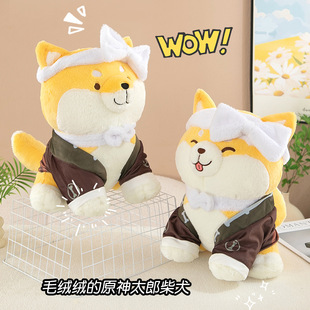 ԭ����߅̫���蹫�е��޹���ë�q������ɿɐ۲�Ȯ����Ԫ��������