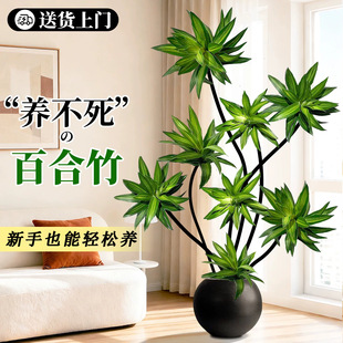 �ٺ���͏d�Gֲ�����Խ�߅�ٺ���߼����҃ȴ�����լ�Ϙ�ֲ����B