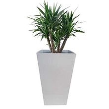 �S�����l�߹⇊�Ứ�裬���[�b��gӭ��ُ