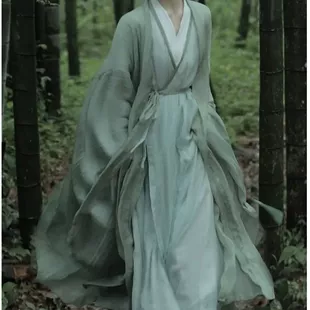 Холодно- и тепло-рукав Hanfu для женщин 2024 новый широкий рукав, сказочная юбка, древний стиль, сказочный свободный костюм