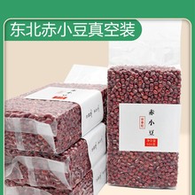 2024�������г�С���|���t����s�Z�ּZʳ�r���Ԯa�ɴ���޲��5��1