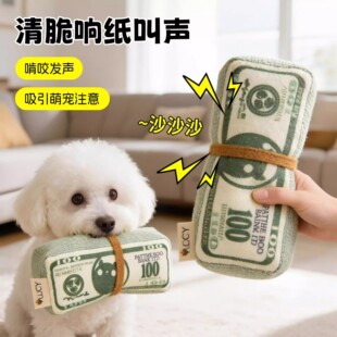 ������߰l������߷�����������Ӗ���l���BB��푼�С����Ȯ