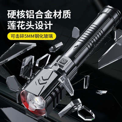 Patrol Home Use Laser — UV fənərlər