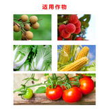 Германия Кан Пухонг Кан Пу Грин Кан Пукин Кан Пу синие фрукты Настоящее большое количество элементов водопроводимых удобрений.