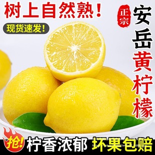 �Ĵ������S�������rˮ���������䱡Ƥ��ˮ��������С����خa���]