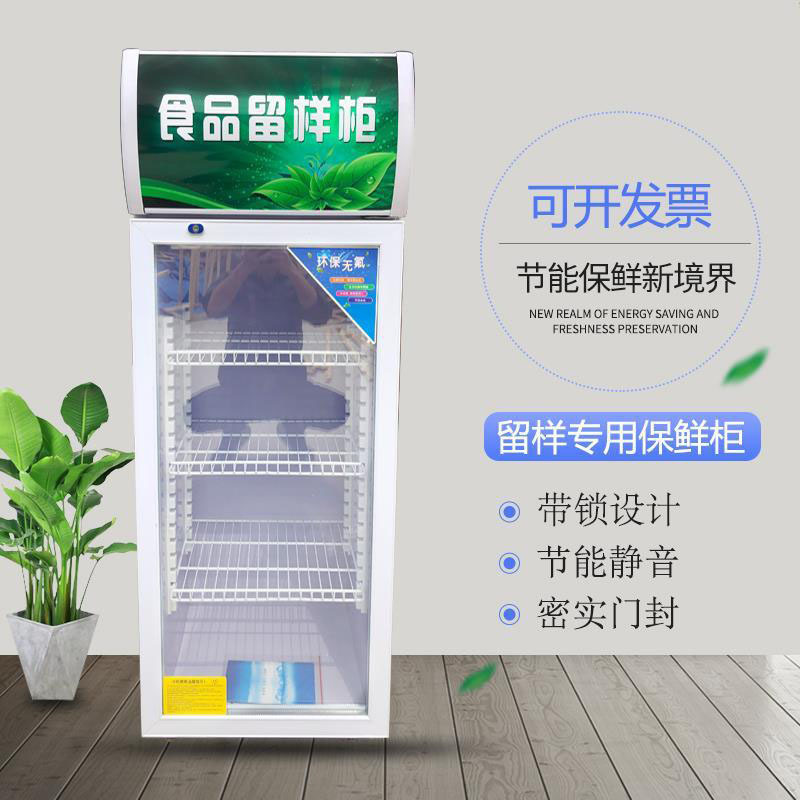 Food Sample Cabinet Small Refrigerator Kindergarten Canteen with Lock School Kitchen Fresh-keeping Display Refrigerated Household Mini Food Sample Cabinet Small Refrigerator Kindergarten Canteen with Lock School Kitchen Fresh-keeping Display Refrigerated Household Mini