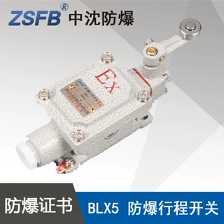 浙江中沈BLX5D防爆行程开关单摇臂式电流10A电压通用ExdbIIBT6WF1