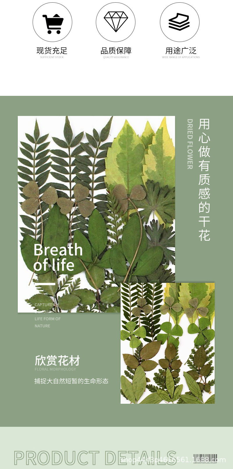 详情页_02.jpg